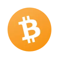 The bitcoin logo